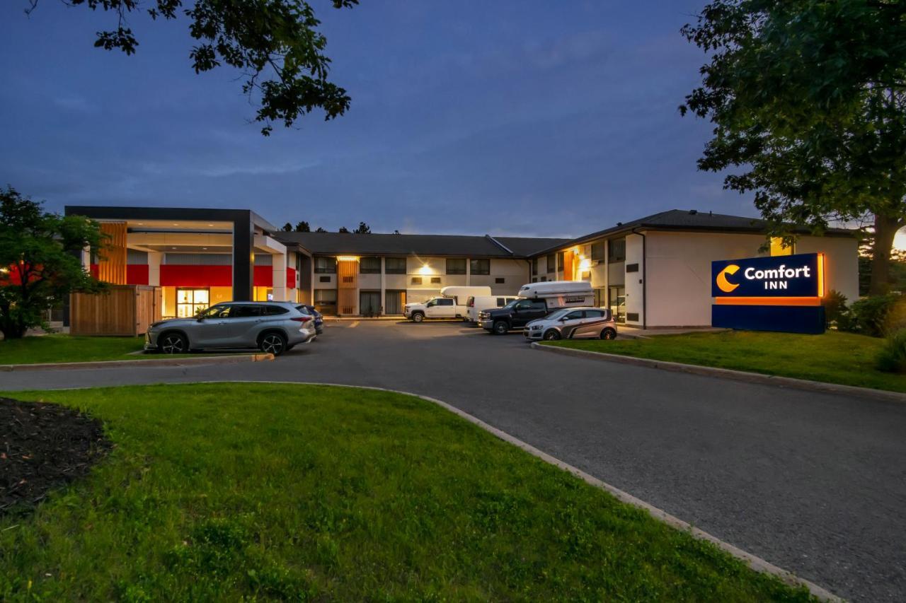 Comfort Inn West Ottawa Exterior foto