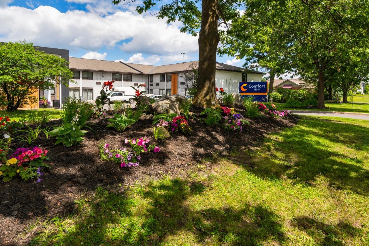 Comfort Inn West Ottawa Exterior foto